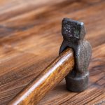 Eco How-To: Crafting Shallow Water Gardens: A Meditative Journey Eco How-To: Crafting Shallow Water Gardens: A Meditative Journey