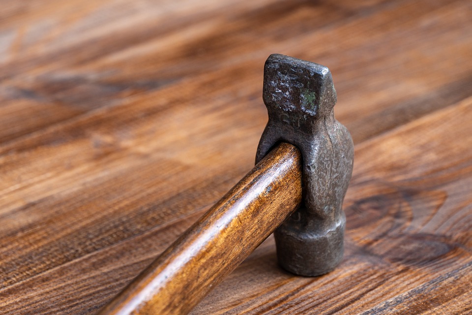 Eco How-To: Crafting Shallow Water Gardens: A Meditative Journey