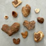 Thistlekeeping – Thistlewood Farm Thistlekeeping – Thistlewood Farm