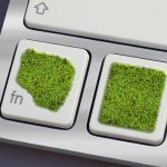 Eco How-To: Harvesting Dew from Stoneware Cups at Dawn Eco How-To: Harvesting Dew from Stoneware Cups at Dawn