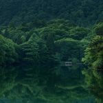 Top 5 Ideas: Earthbound Hearts’ Renewal