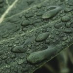 Symbolic Essay: Glass Jar Lanterns Hum Through Dusty Threads of Time