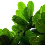 Eco How-To: Crafting Shelters Where Wings and Soil Communicate