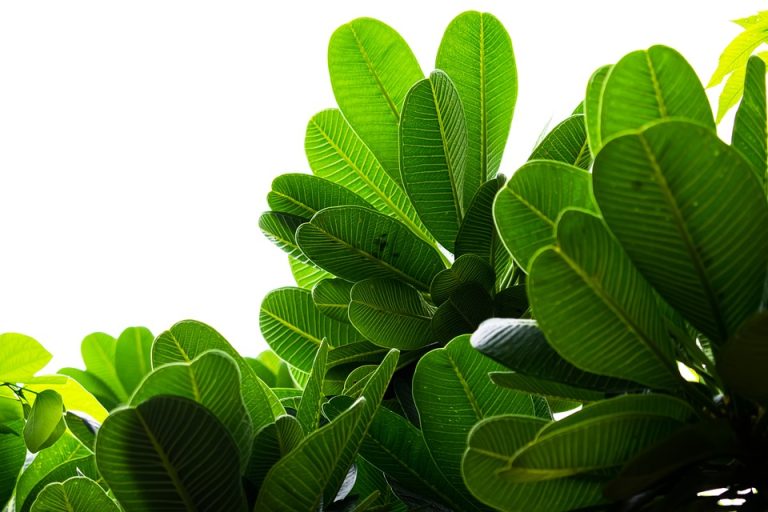 Eco How-To: Crafting Shelters Where Wings and Soil Communicate