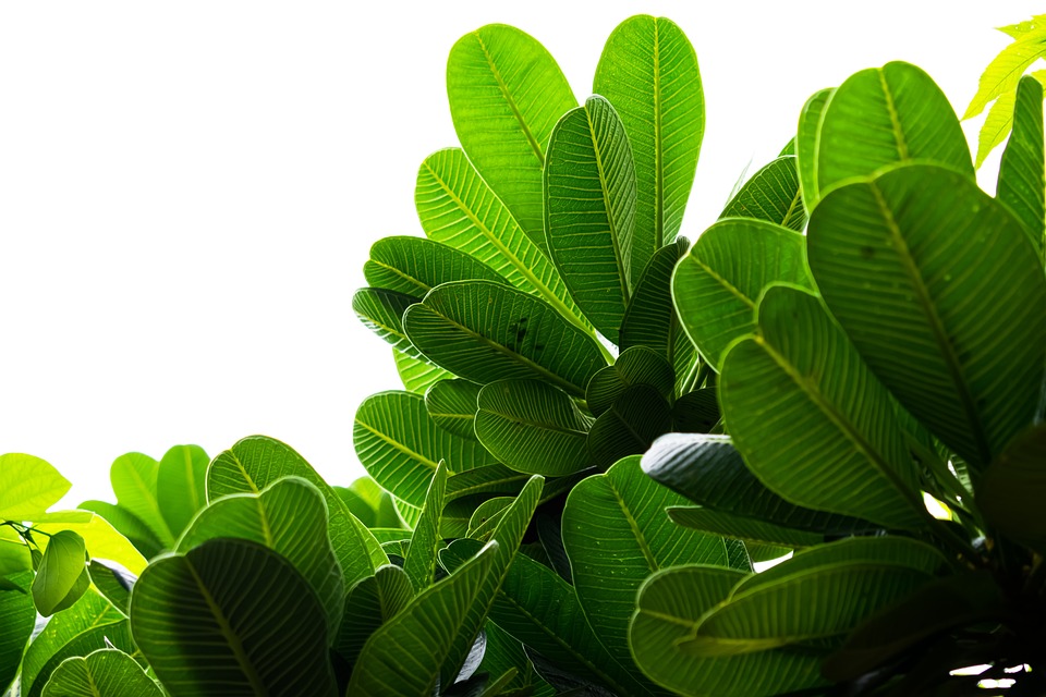 Eco How-To: Crafting Shelters Where Wings and Soil Communicate