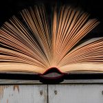 Seasonal Ritual Tending Frost’s Veil