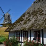 Poetic Guide to Moss-Kissed Ceramics: Dawnlight and Leaf Veins