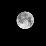 Eco How-To: Planting With Stones & Wood – Quiet Garden Spaces