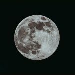 Top 5 Ideas Foraging, Rooted Rituals, Ecstatic Stillness