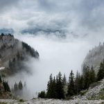 Eco How-To: Weaving Shepherd’s Wool Sanctuaries