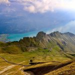 Eco How-To: Crafting Windowsills From Forest Memory Eco How-To: Crafting Windowsills From Forest Memory