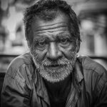 Symbolic Essay: Veiled Embrace Willow Veins’ Silent Sap Dialogue