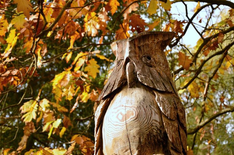 Poetic Guide: Weaving Moonlit Twine