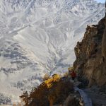 Eco How-To: Stone walls embrace wildflowers, roots rewriting soil Eco How-To: Stone walls embrace wildflowers, roots rewriting soil