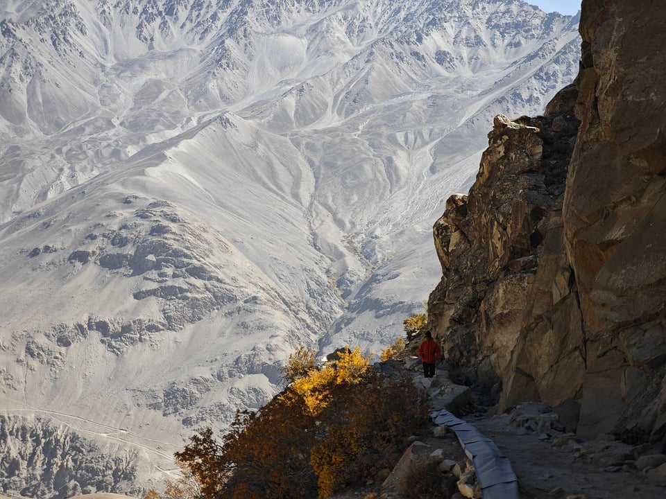 Eco How-To: Stone walls embrace wildflowers, roots rewriting soil