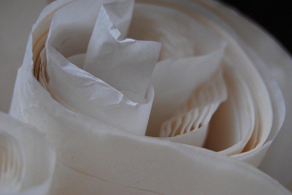 Eco How-To: Planting Hope Where Concrete Jungles Still Breathe