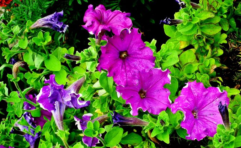 Eco How-To: Rooftop Harvest Alchemy