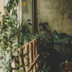 Top 5 Ideas: Silent Stones, Deep Breath Ecstasy Top 5 Ideas: Silent Stones, Deep Breath Ecstasy