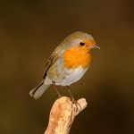 Top 5 Ideas for Hyge in July’s Humid Haze