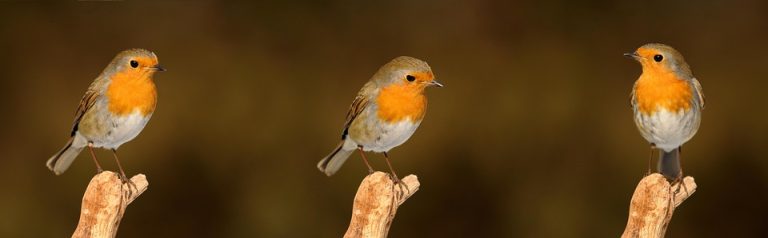 Top 5 Ideas for Hyge in July’s Humid Haze