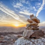 Top 5 Ideas to Cultivate Forest Solitudes Top 5 Ideas to Cultivate Forest Solitudes