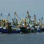 Symbolic Essay: Ephemera’s Canvas Crafting Quiet Homes With Foraged Stones