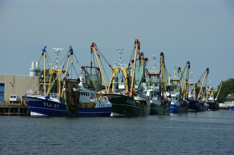 Symbolic Essay: Ephemera’s Canvas Crafting Quiet Homes With Foraged Stones