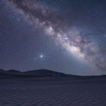 Symbolic Essay: Garden as a Mirror, Cultivating Inner Stillness