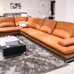 Eco How-To: Foraging Shadows into Moonlit Glory Eco How-To: Foraging Shadows into Moonlit Glory