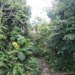 Regenerative Agriculture: A Vital Link from Healthy Soils to Wildlife Conservation