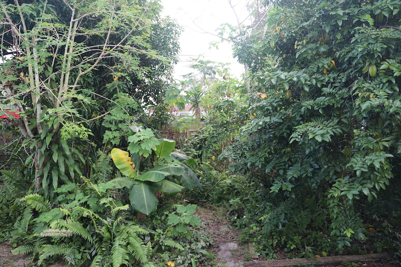 Regenerative Agriculture: A Vital Link from Healthy Soils to Wildlife Conservation