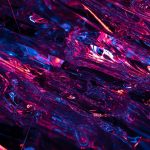 Symbolic Essay on Nurturing Tranquil Sanctuaries at Home