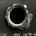 Seasonal Ritual: Barefoot Blossoms, Spring’s Whisper to Quiet