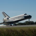 Eco How-To: Foraged Materials, Earthy Bonds with Wild Eco How-To: Foraged Materials, Earthy Bonds with Wild