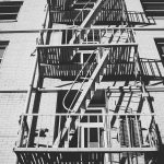 Seasonal Ritual Beneath Pine Canopy Canopies Seasonal Ritual Beneath Pine Canopy Canopies