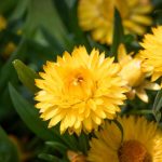 Poetic Guide: Whispers Of Moonbeams In Cracked Constellations