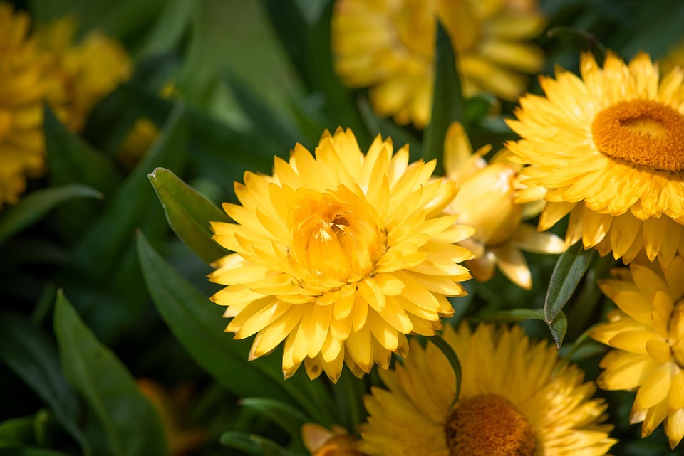 Poetic Guide: Whispers Of Moonbeams In Cracked Constellations