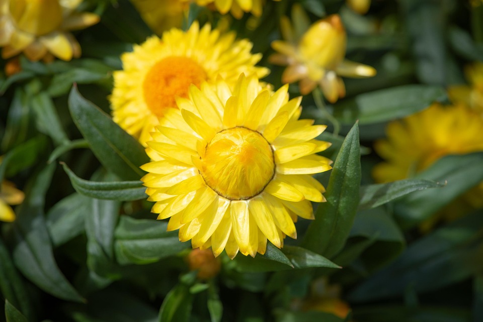 Symbolic Essay: The Weight of a Pebble in Morning Light