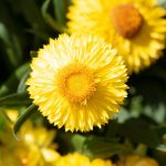 Poetic GuideWhispers of Light in Narrow Spaces