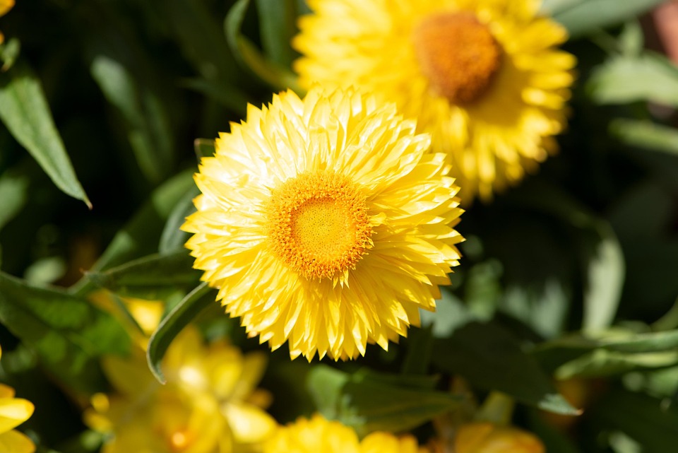 Poetic GuideWhispers of Light in Narrow Spaces