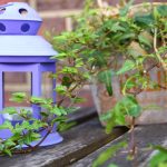 Eco How-To: Native Bees’ Nectar Maze