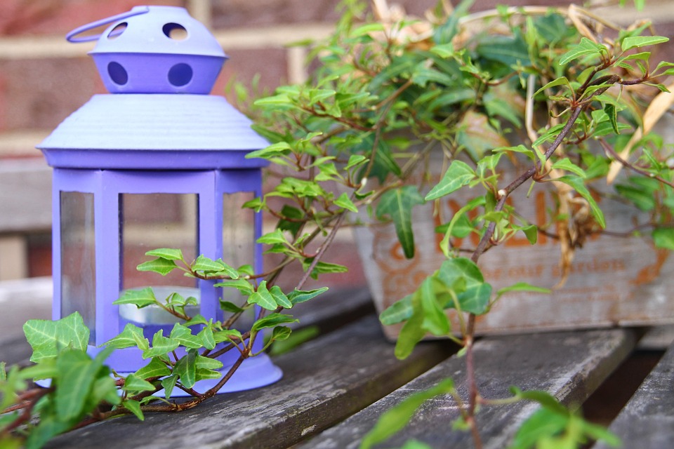 Eco How-To: Native Bees’ Nectar Maze