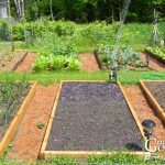 How to Plan and Map Your Beds