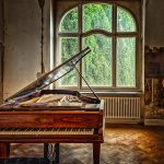 Eco How-To Nurturing Roots – Eco How-To Nurturing Roots –