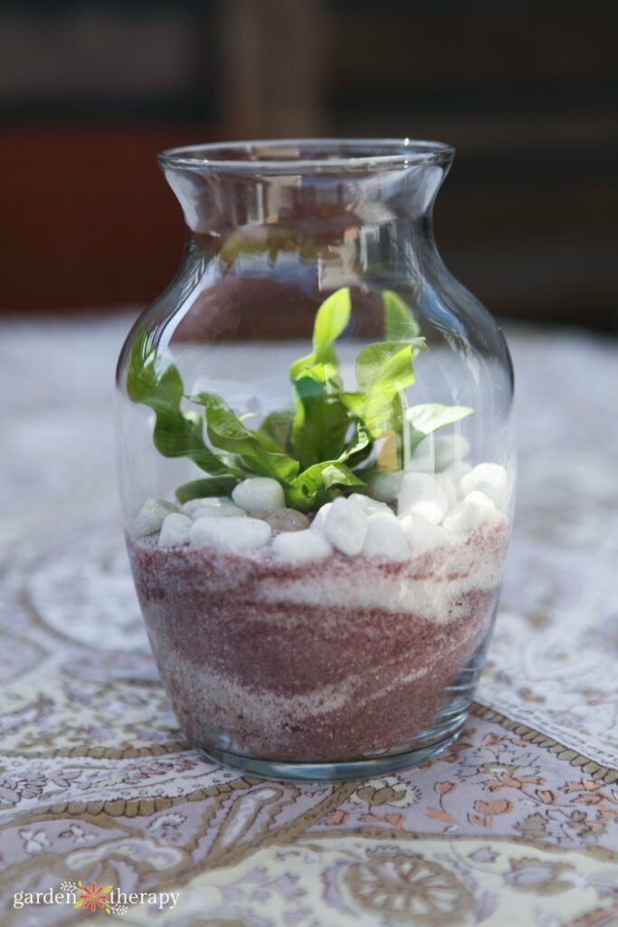diy sand art terrariums