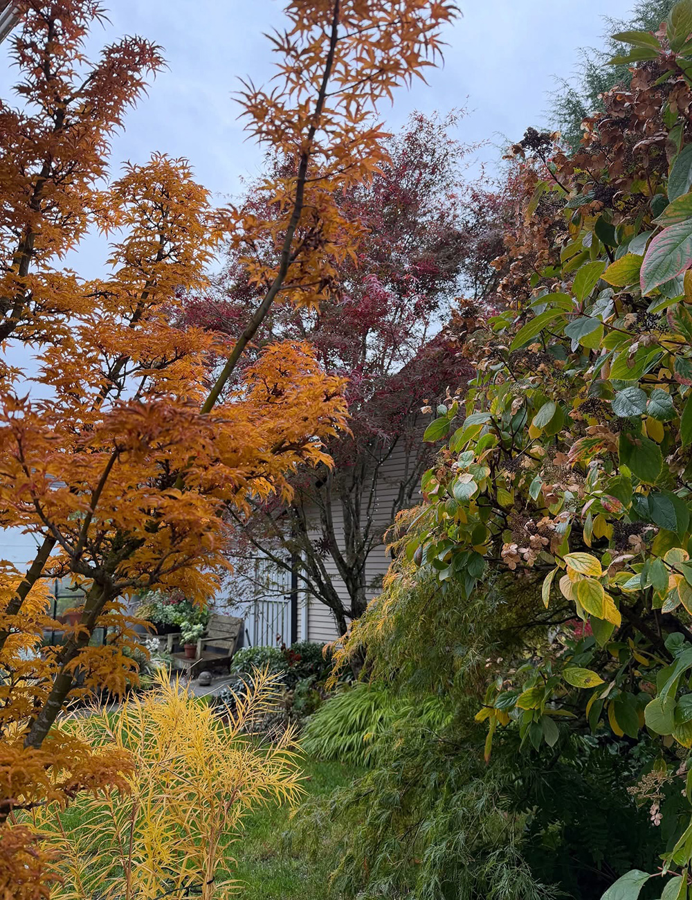 small garden with vibrant fall foliage