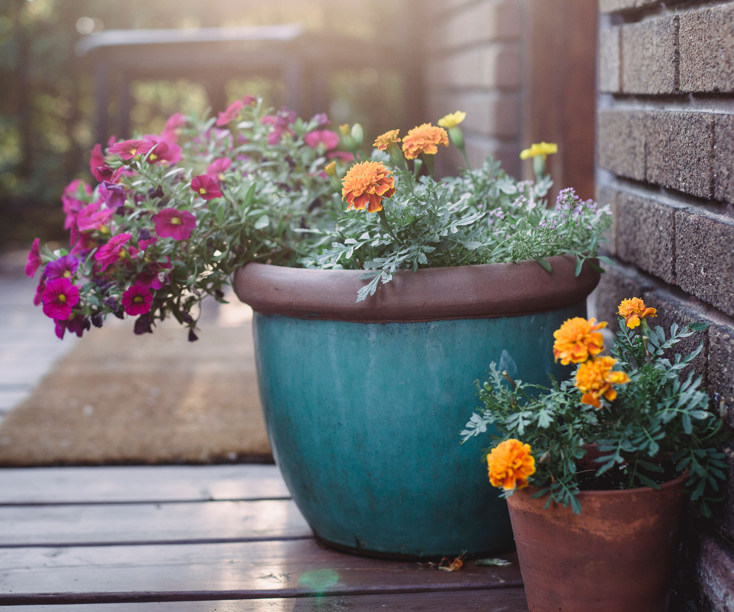 wine cork floating on water in garden bath