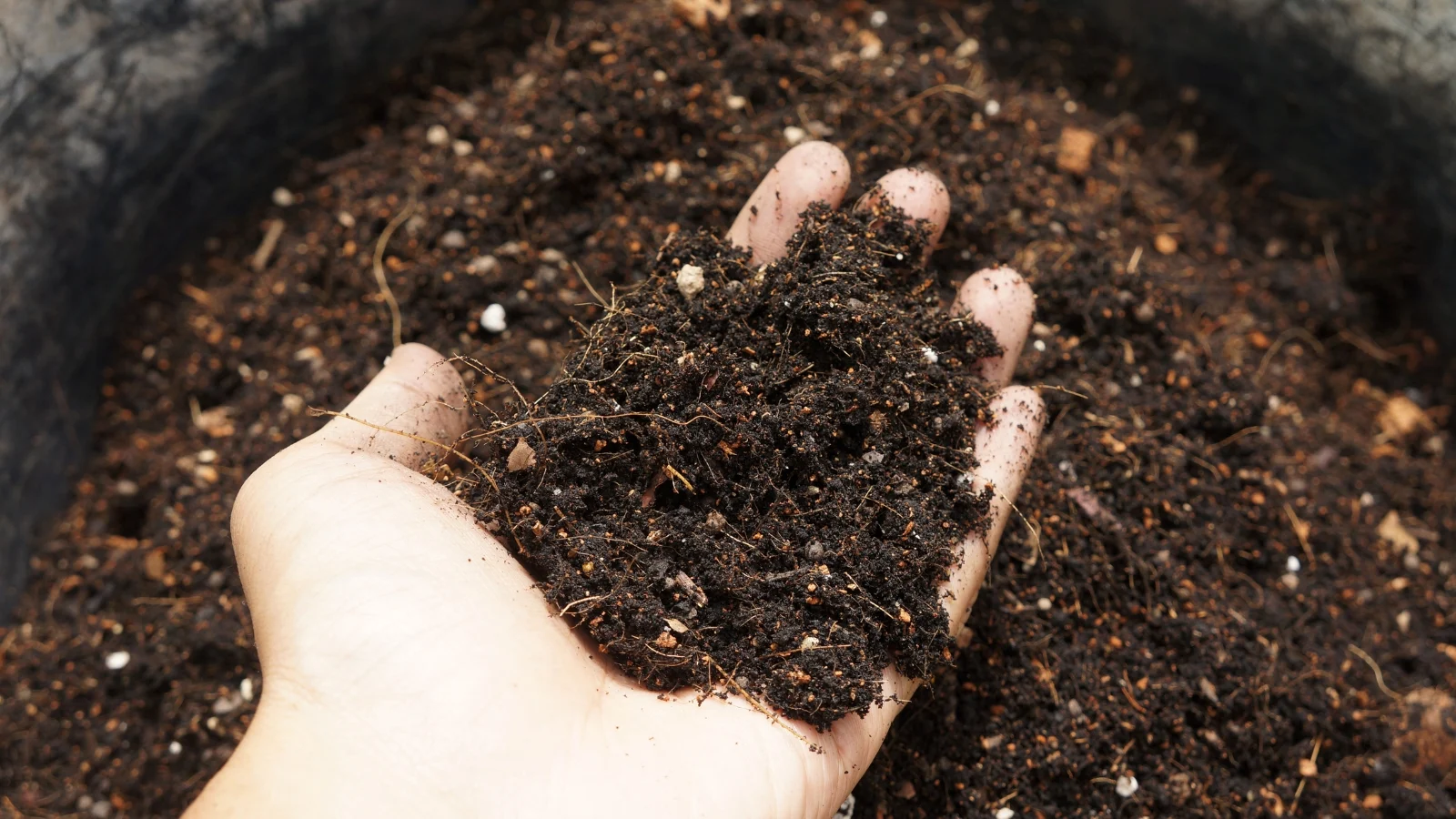 a hand cradles a mixture of rich, dark soil. the earthy blend is placed in a container, with a person's hand inspecting its texture