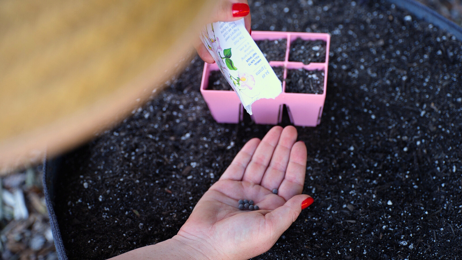 close-up of a woman pouring round plant ovules into her palm next to a pink seed starter tray filled with soil.