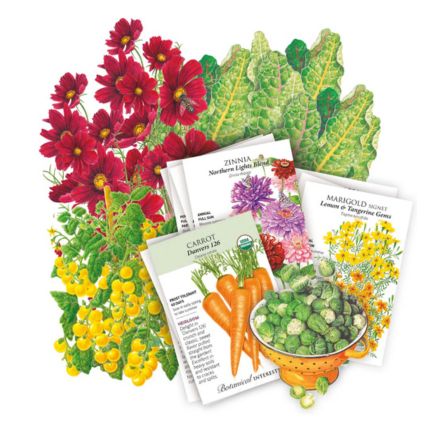 northeast seed bundle